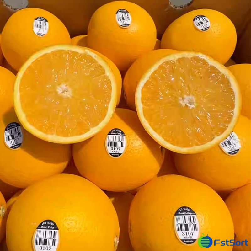 images/1713427048205spain orange.jpg